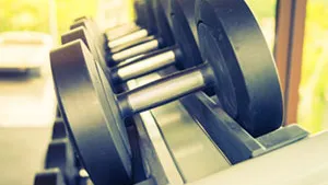 Dumbbells neatly arranged on dumbbell rack